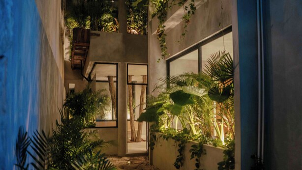A narrow indoor pathway with a concrete wall, a wooden bench, and potted plants.