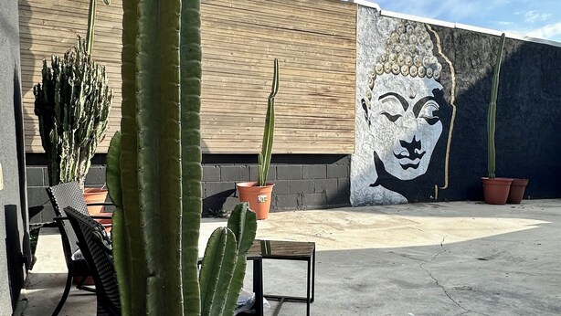 Un cactus dans un pot, une fresque représentant Bouddha et un mur en bois.