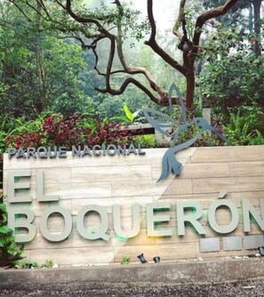 Property grounds - Enjoyable 2-bedroom bed & breakfast with AC in San Salvador (San Salvador)