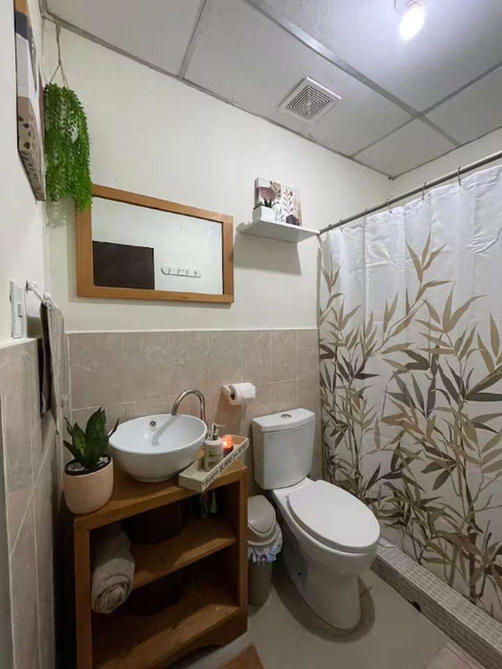 Toallas, jabón, papel de baño 
