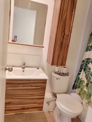 Hair dryer, towels, toilet paper