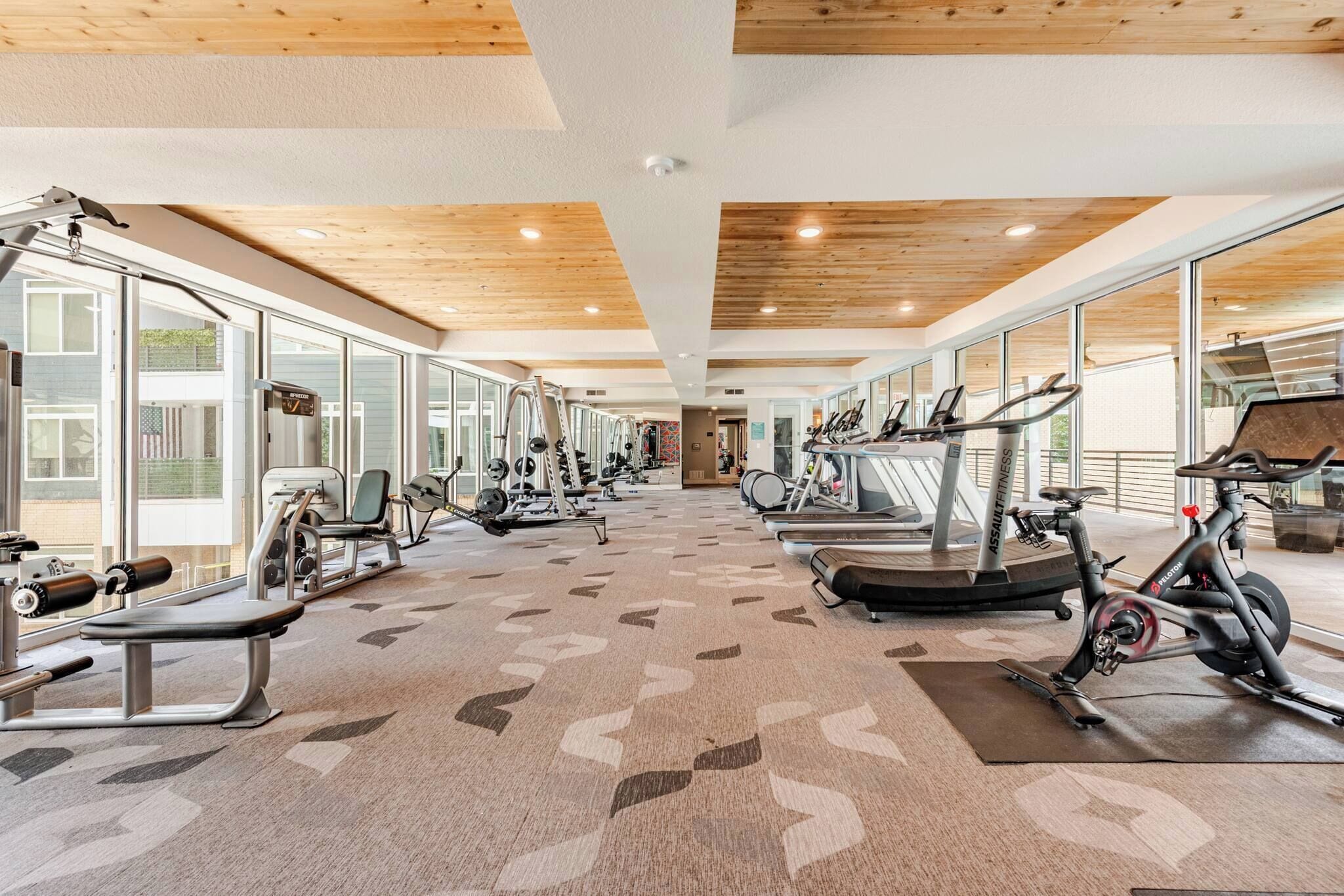 Un gimnasio con diversos equipos de ejercicio, amplias ventanas y una alfombra estampada.