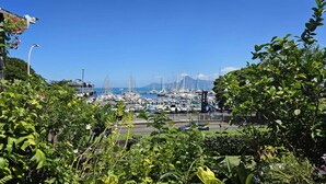 Un port esportiu ple de vaixells, un cel clar i vegetació abundant al primer pla.
