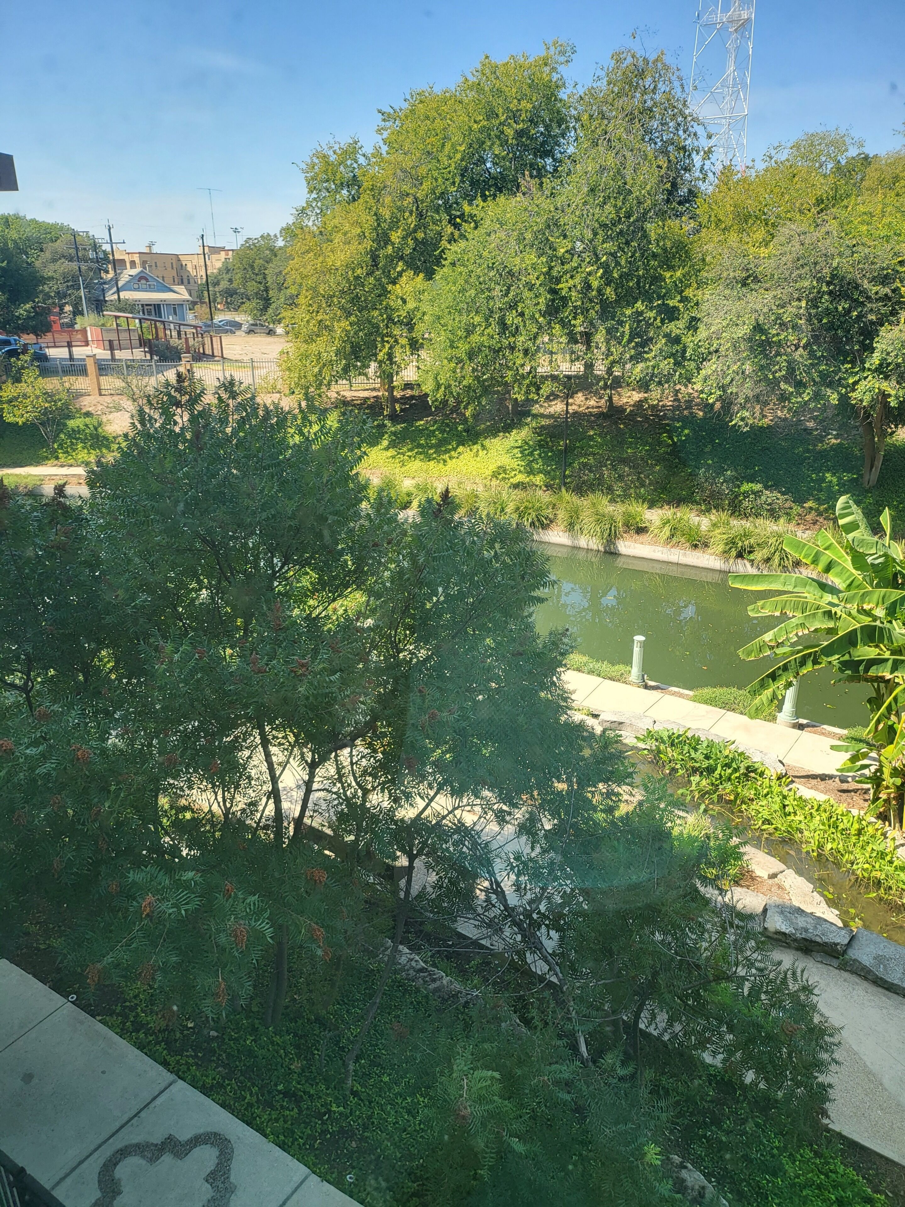 Ein Park mit Teich, Bäumen und einem Gebäude im Hintergrund.