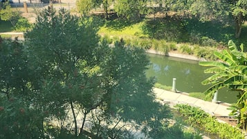 Ein Park mit Teich, Bäumen und einem Gebäude im Hintergrund.