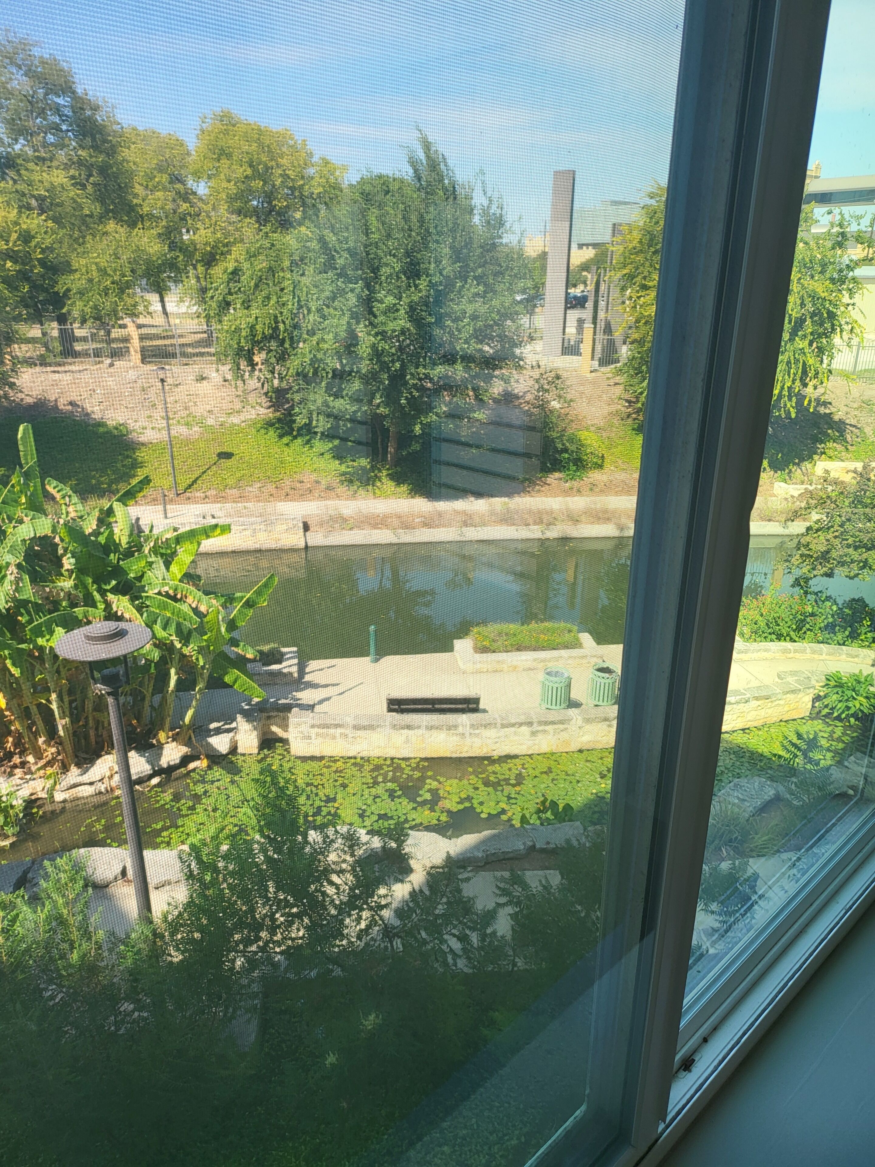 Blick durch ein Fenster auf eine Tiergehege mit Teich, Bäumen und Zaun.