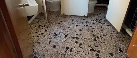 A bathroom with a sink, toilet, and shower area.