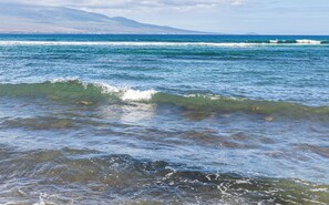 Beach - Celebrate Honeymoon, Anniversary or Birthday...Panoramic Ocean View! (Wailuku)