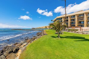 Property grounds - Celebrate Honeymoon, Anniversary or Birthday...Panoramic Ocean View! (Wailuku)