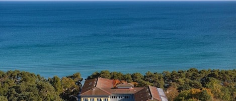 A large building with multiple windows, surrounded by dense trees, overlooking a vast body of water.