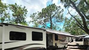 Une rangée de camping-cars est stationnée dans une zone boisée, à l’ombre des arbres.