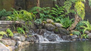 Une cascade d’eau qui dévale des rochers pour se jeter dans un étang, le tout entouré d’une végétation luxuriante et d’un mur de pierre.