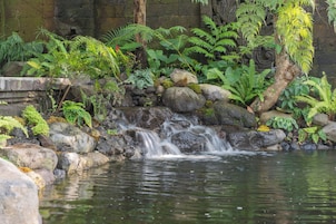 Natural pool