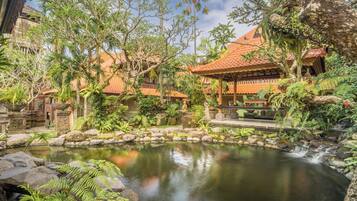 Jardines del alojamiento