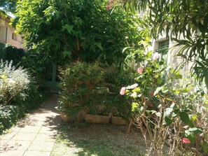 Àrea exterior de l'allotjament