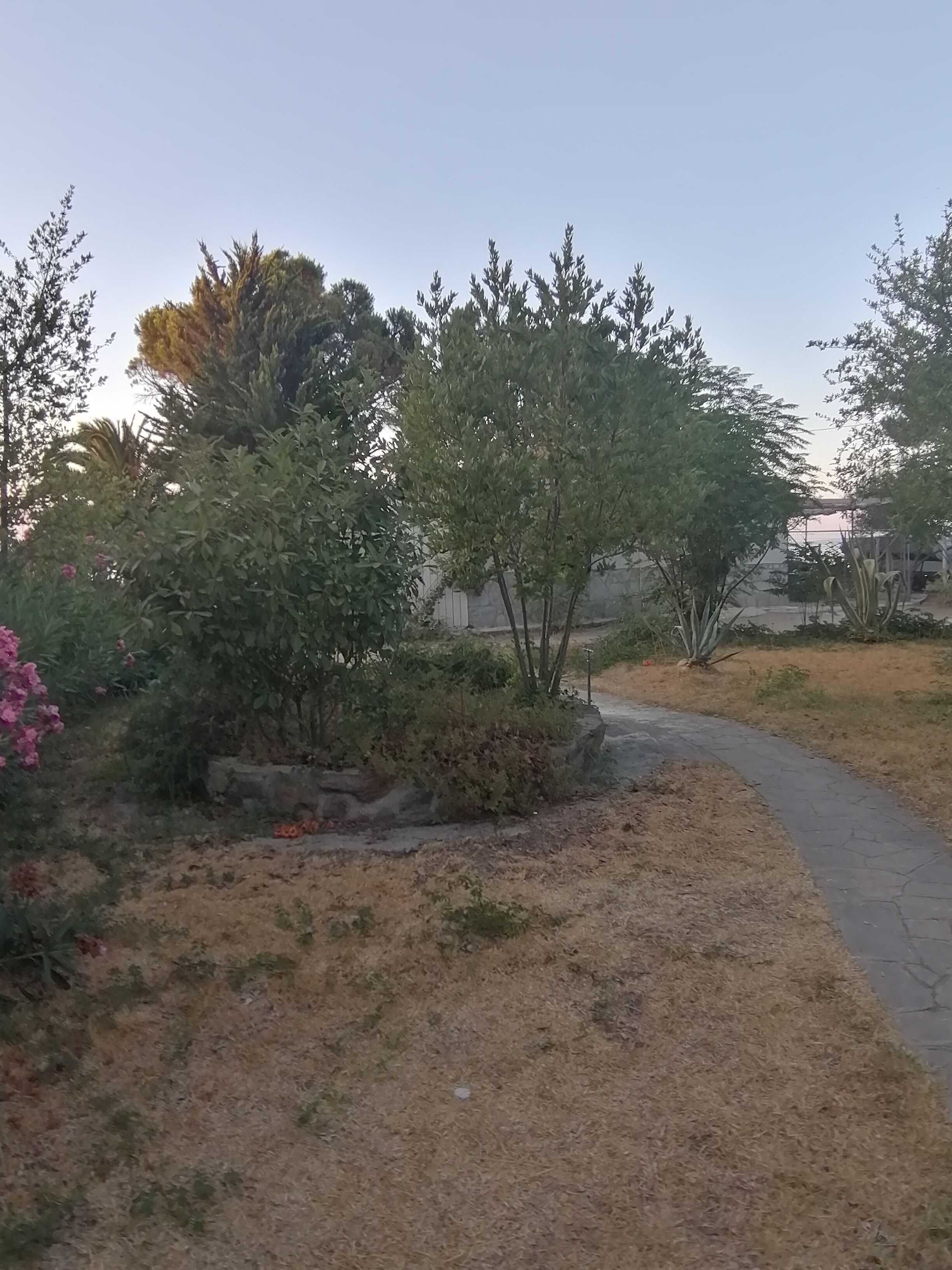 المنطقة المحيطة بالمنشأة