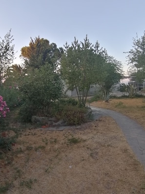 A paved pathway in a landscaped area with various shrubs and trees. - Beach apartment Wünderschon (Vourvouro)