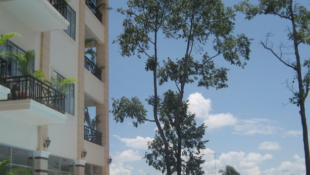 Una piscina con lettini, un albero alto e un edificio a più piani con balconi.