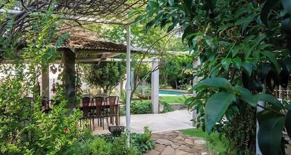 Arty Guesthouse nestled in a tranquil garden with calming birdlife.