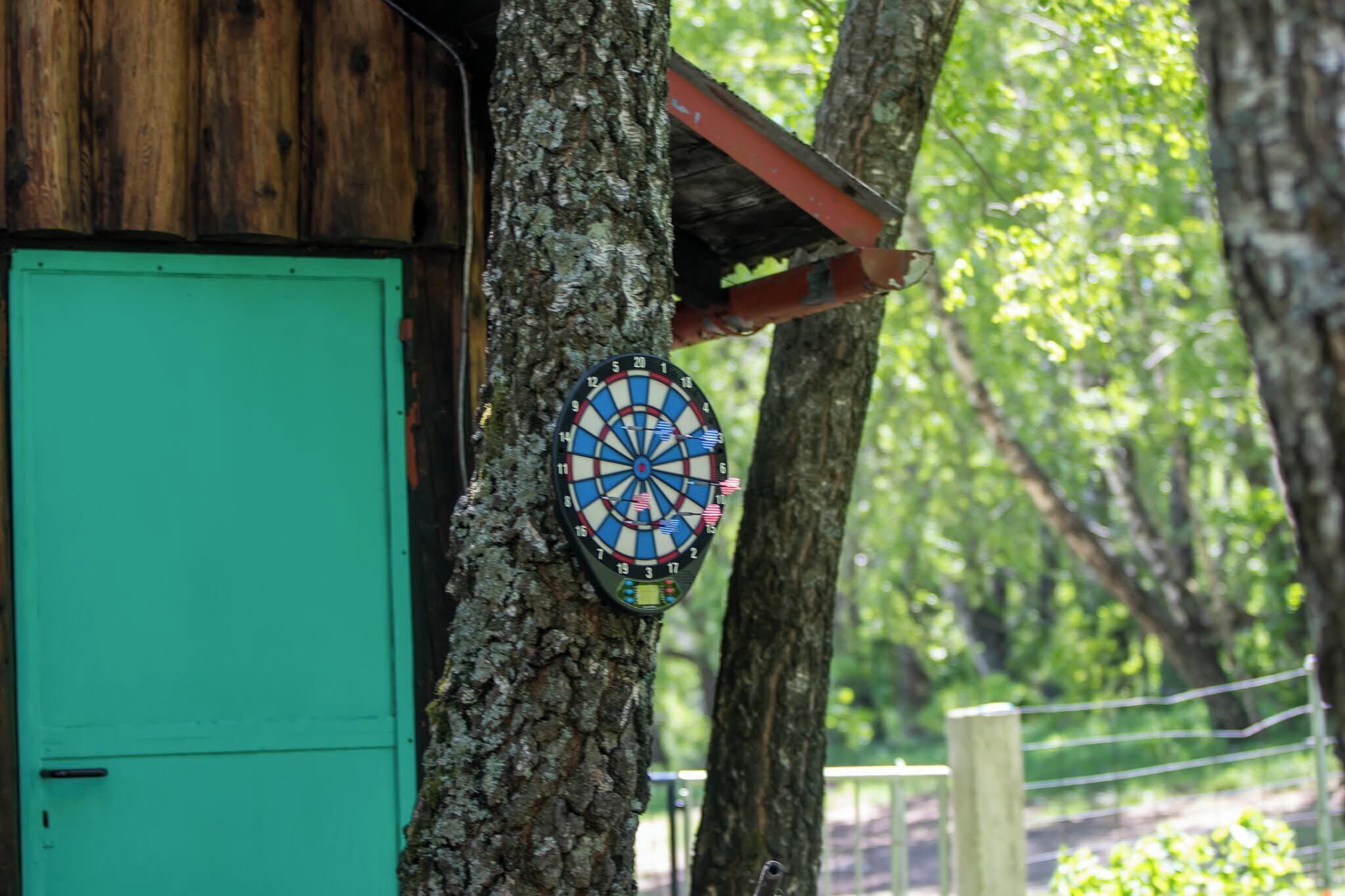 A dartboard mounted on a tree, a green door, and a wooden structure.