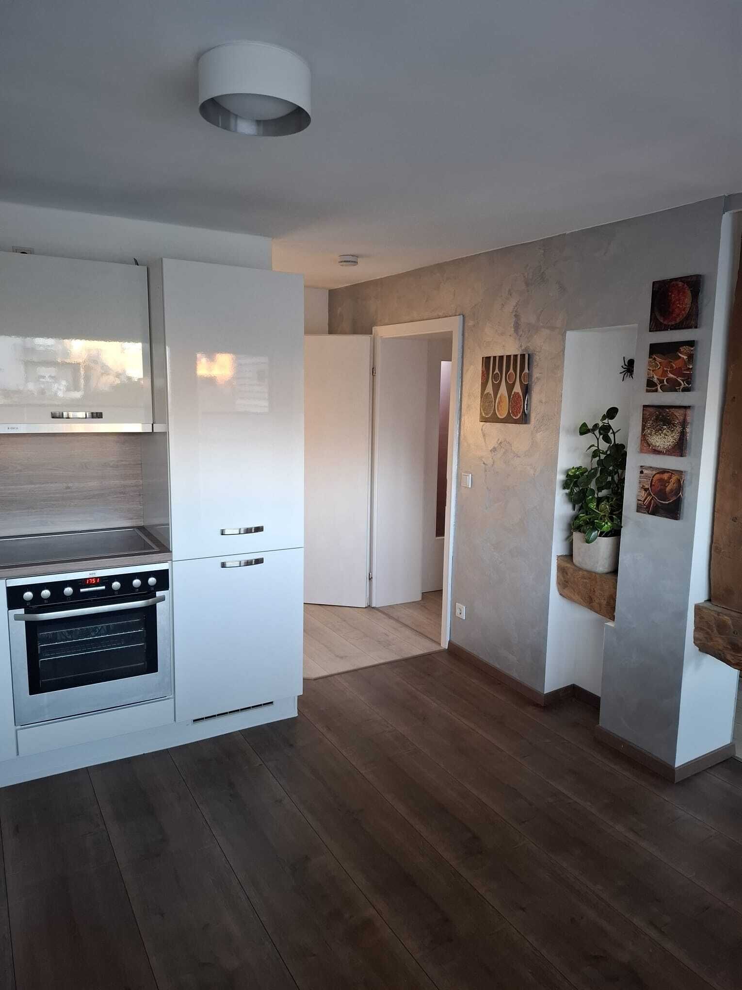 Kühlschrank, Ofen, Herdplatte, Geschirrspüler