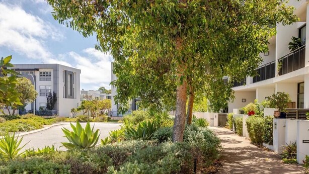A modern building with a paved pathway, surrounded by lush greenery and a tree.