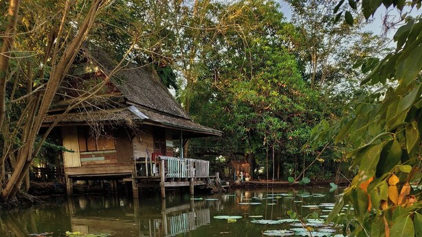 A traditional wooden house with a thatched roof, surrounded by a pond with lily pads and a white water lily. - Tranquility living in the garden ,20km from airport (ฉะเชิงเทรา)