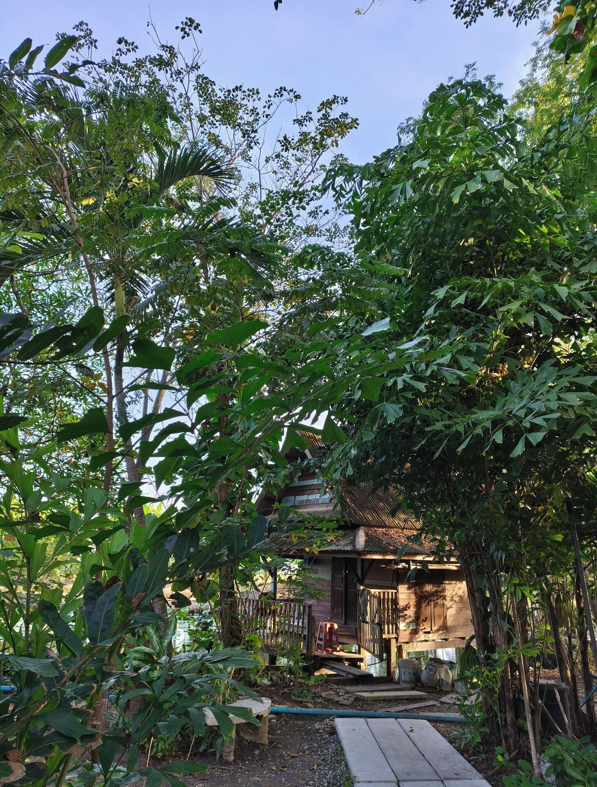 Un edificio tradicional con techo de tejas, rodeado de abundante vegetación y un sendero que conduce a la entrada.