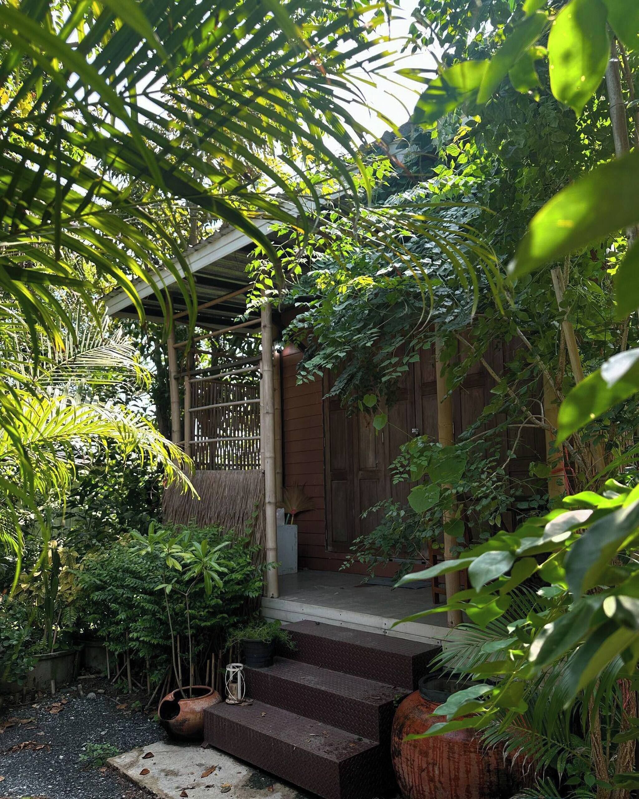 Um jardim com degraus que levam a uma porta de madeira, cercado por vegetação exuberante.