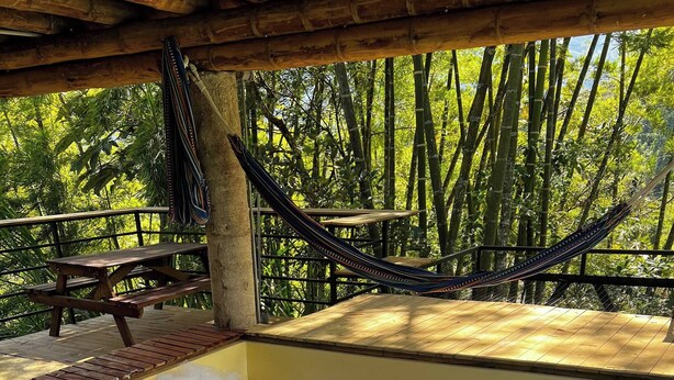 Un bain à remous bordé de bois, un hamac et une table de pique-nique, le tout installé dans un cadre de forêt de bambous.