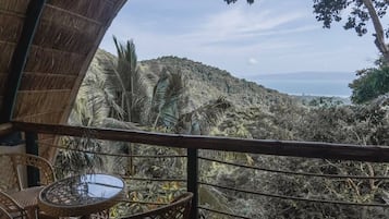 Cabin, 1 King Bed, Balcony, Beach View | Water view