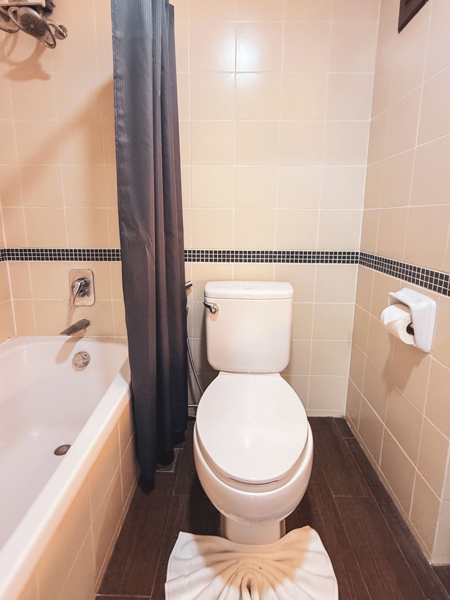 A bathroom with a bathtub, toilet, and shower curtain.
