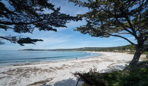 A beach with clear skies, a sandy shore, and a large tree in the foreground. - Casa del Mar - Carmel House - Walk Downtown, Bask in the Sun! (Carmel)