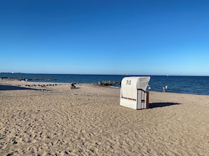 Une plage bordée d’une rangée de chaises de plage numérotées, un ciel dégagé et une mer calme.