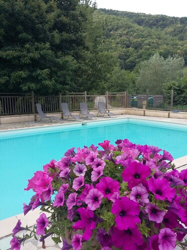 Mobil-home au Camping Sant Marti. Proche d’Amélie les bains. Animaux acceptés.