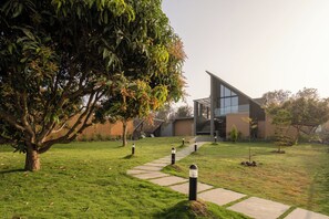 Property grounds - Fika (Kodiga Timmanapalli)