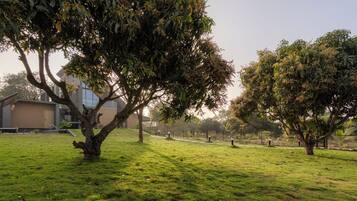 Overnattingsstedets uteområder