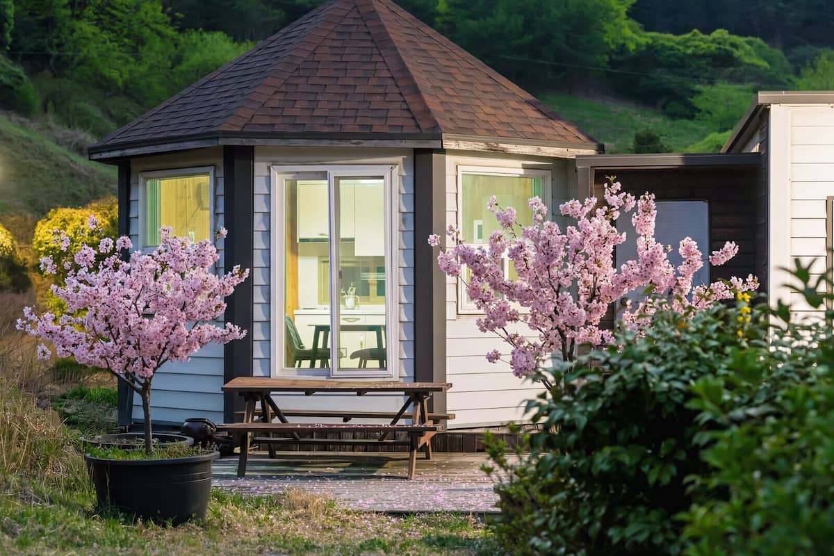 Habitación básica, 1 habitación (Room 101)