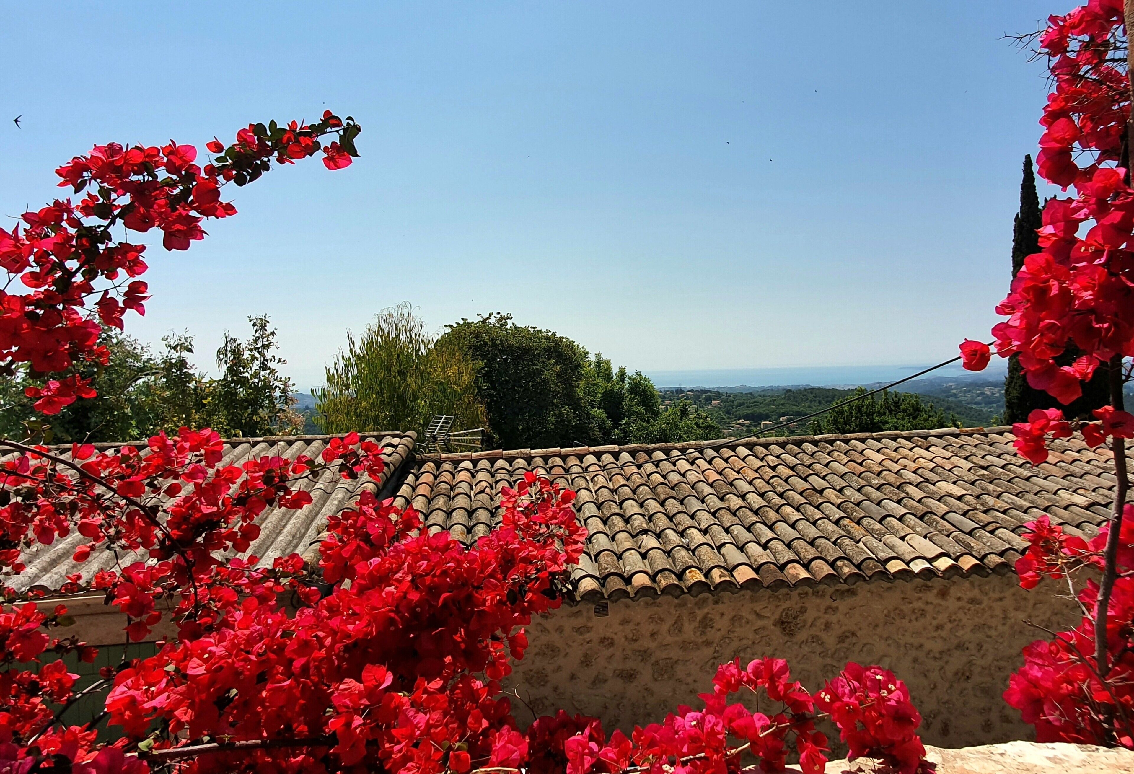 Vue depuis l’hébergement