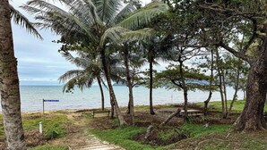 Un sentier menant à une plage bordée de palmiers, avec un panneau indiquant « Accès public ».