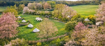 Group Stay ~ Sauna ~ Farm ~ Quad Rides ~ BBQ