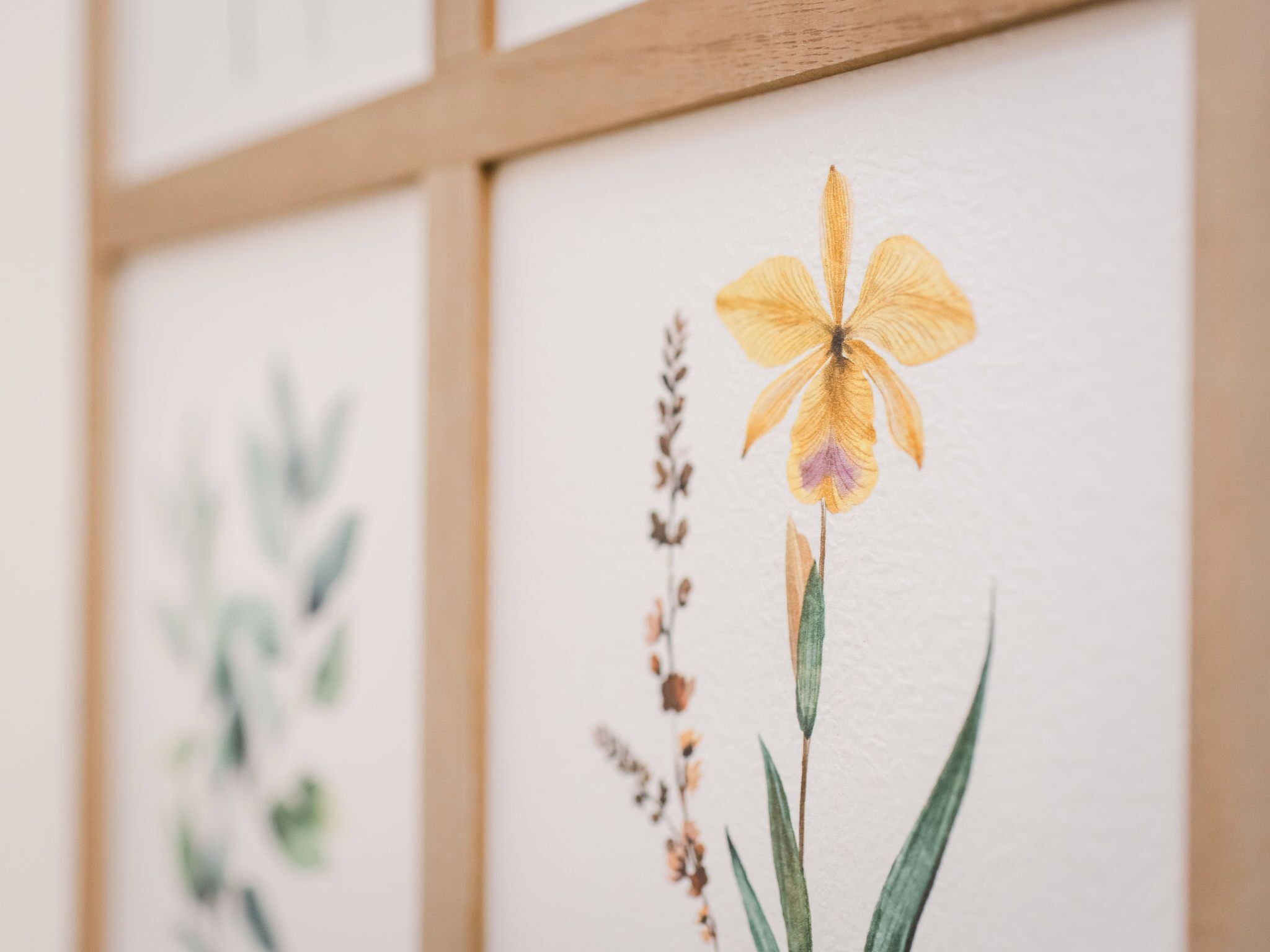 Primer plano de una pared con ilustraciones botánicas enmarcadas, incluyendo un iris amarillo y follaje verde.