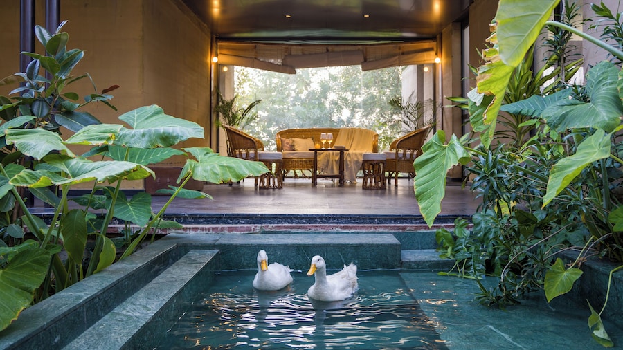 ELIVAAS Hari Bagh 4 BHK Villa