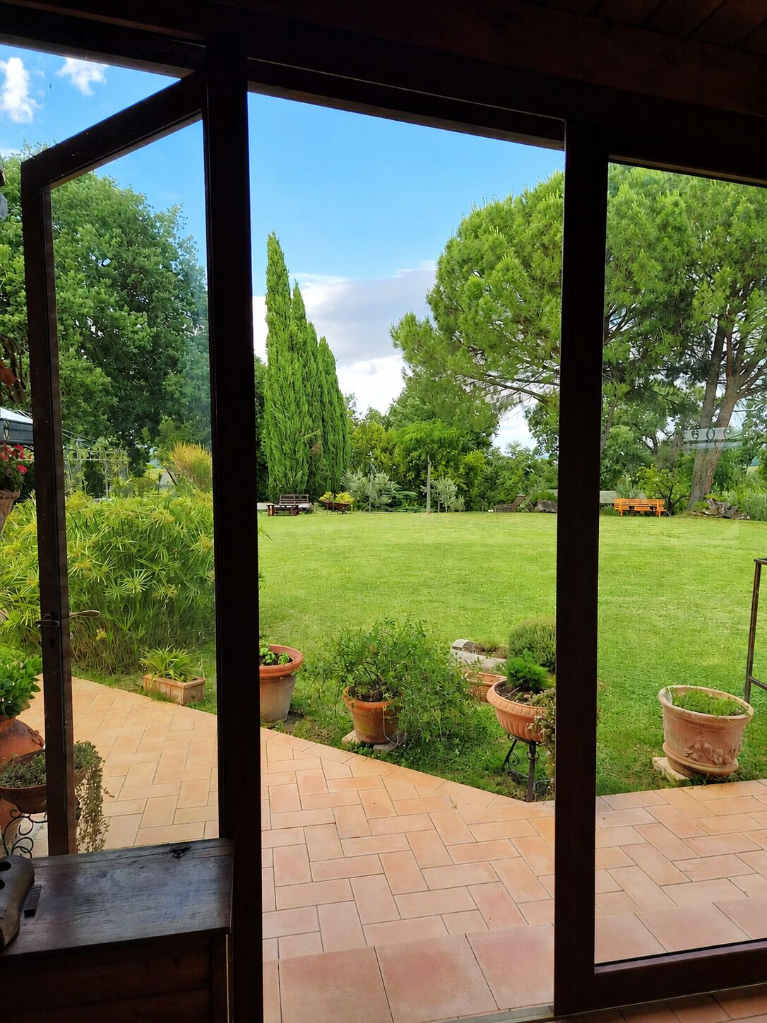 Vista attraverso una porta vetrata su un giardino con prato, piante in vaso e alberi.