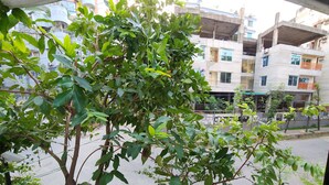 Vista a través de una ventana, con un árbol en primer plano y un edificio de varios pisos al fondo.