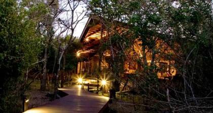IHlozi Bush Lodge