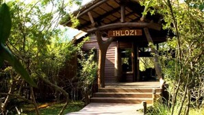 Eine Holzhütte mit einem Schild, auf dem 'iHLOZI' steht, und einem hölzernen Weg, der dorthin führt.