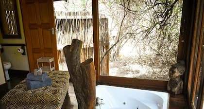 IHlozi Bush Lodge
