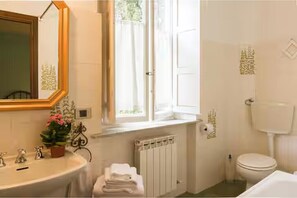 Shower, hair dryer, bidet, towels