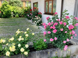 Ein Garten mit verschiedenen blühenden Pflanzen, einem gepflasterten Weg und einem Gebäude mit Fenstern.